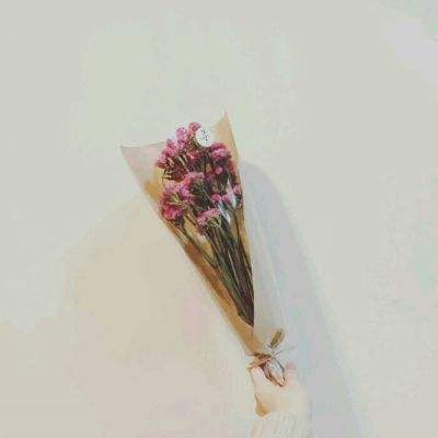 香肠人吃鸡手游下载
